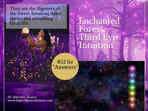 This displays that this high vibe anti-aging skincare set is tuned to 852 HZ, the frequency of the third eye, infused with amethyst chakra stone, key for deeper intuitive discernment.