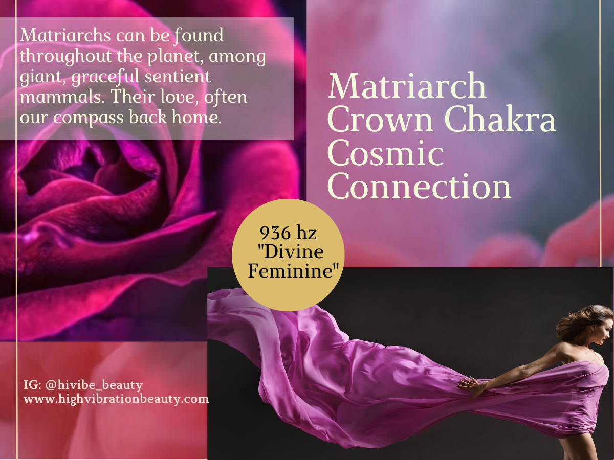 Matriarch "Cosmic Connection" Fine Lines, Elastin, Elegance Set