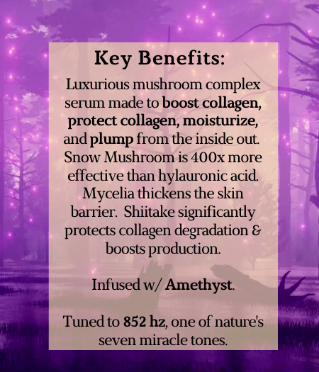 Benefits of Magic Mycelia Mushroom Serum Enchanted