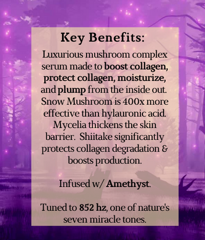 Benefits of Magic Mycelia Mushroom Serum Enchanted