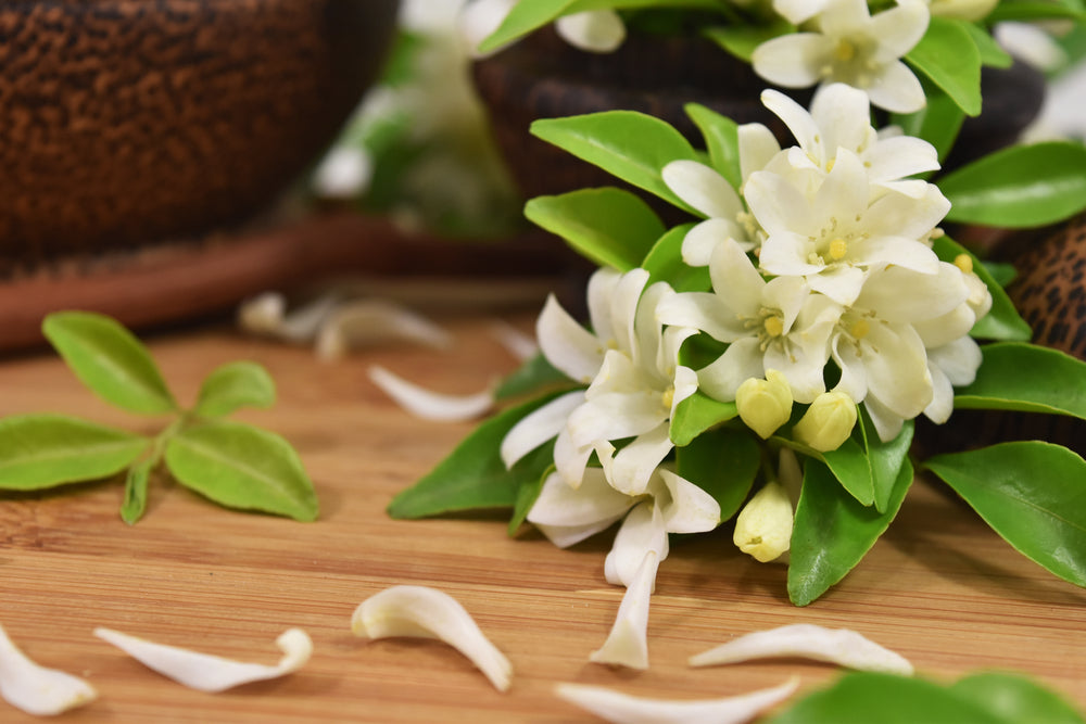 SOLFEGGIO Skin Essence | Jasmine & Jade - Heart