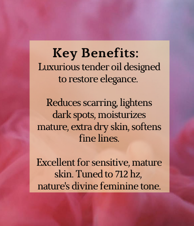 Matriarch "Cosmic Connection" Fine Lines, Elastin, Elegance Set