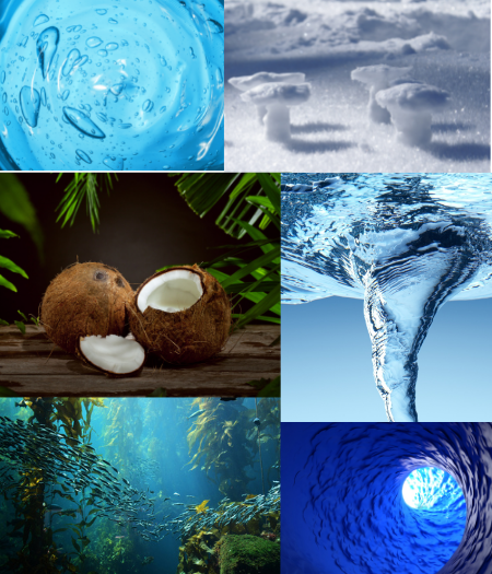 Collage of coconut, vortex water, waves, and a majestic ocean scene