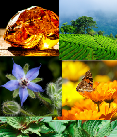 Clarify Medicinal Oil Mini