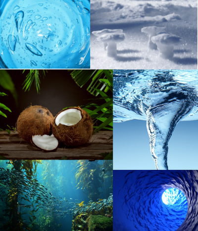 Collage of coconut, vortex water, waves, and a majestic ocean scene vortex water coconut moisture factors humectants
