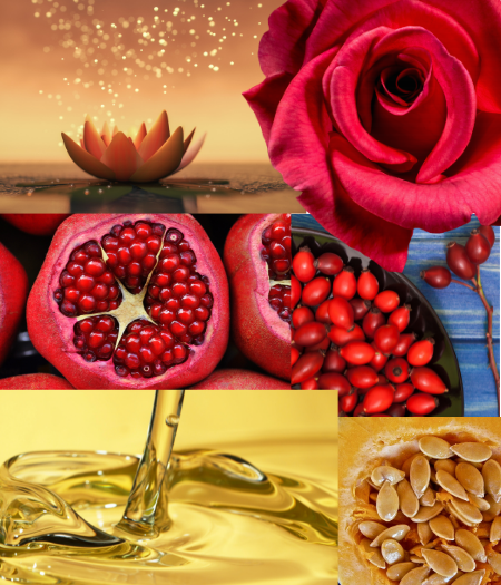 Photo collage of rose, pomegranate, lotus, golden oil, pumpkin seeds in an elegant display connecting this luxury face oil to the crown chakra
