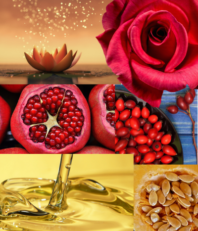 'Matriarch' Nourishing Elegant Tender Oil w/ Diamonds & Rose Mini